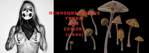 ALPHA PVP Пестово